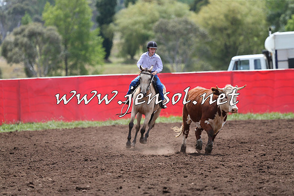 NimmitabelCampdraft2015_1377