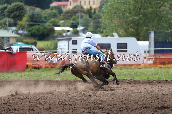 NimmitabelCampdraft2015_1401