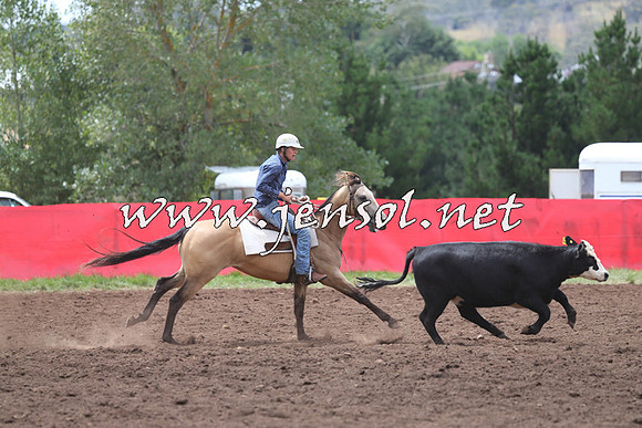 NimmitabelCampdraft2015_1427