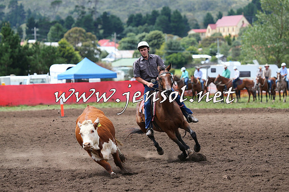 NimmitabelCampdraft2015_1439