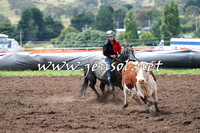 NimmitabelCampdraft2015_1353