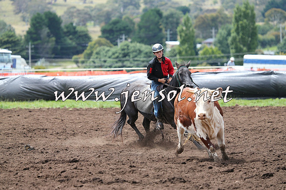 NimmitabelCampdraft2015_1353