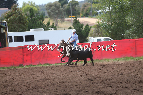 NimmitabelCampdraft2015_1403