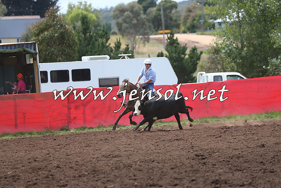 NimmitabelCampdraft2015_1405