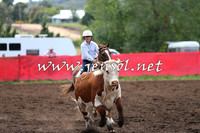 NimmitabelCampdraft2015_1336