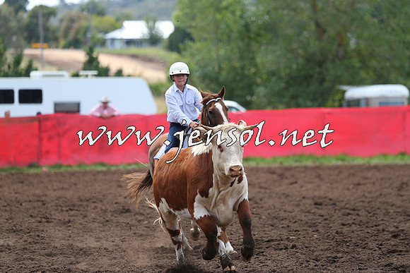 NimmitabelCampdraft2015_1336