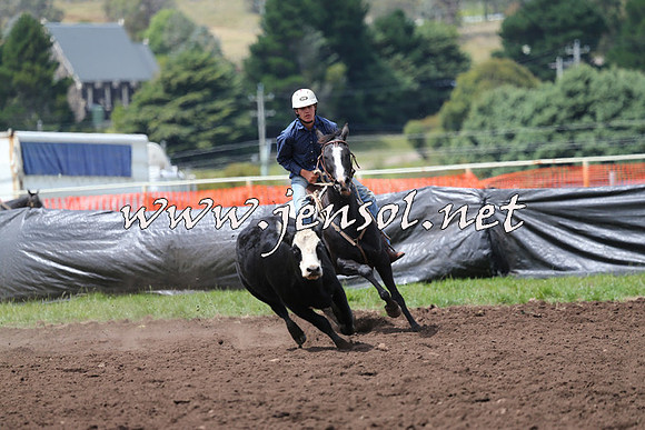 NimmitabelCampdraft2015_1484