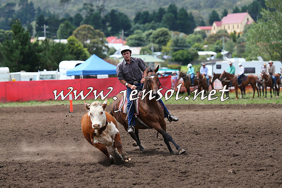 NimmitabelCampdraft2015_1446