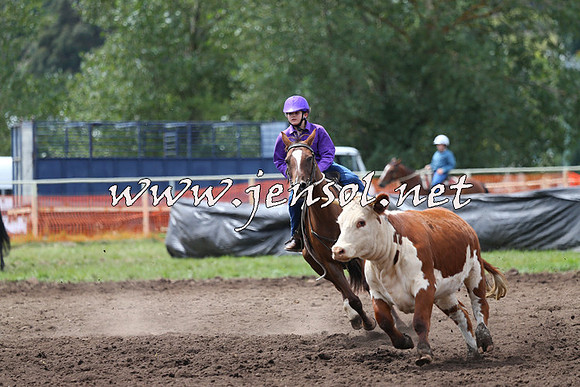 NimmitabelCampdraft2015_1387