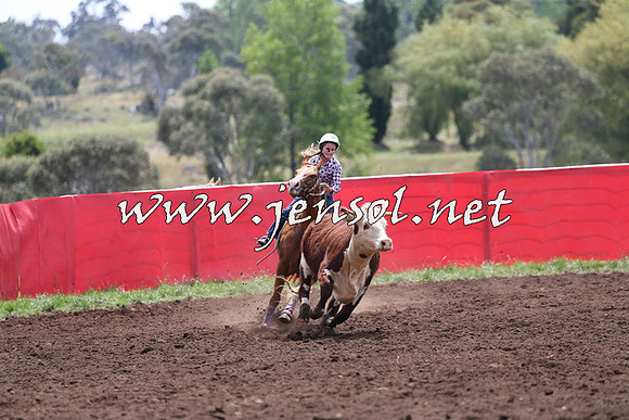 NimmitabelCampdraft2015_1364