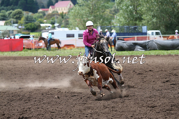 NimmitabelCampdraft2015_1460