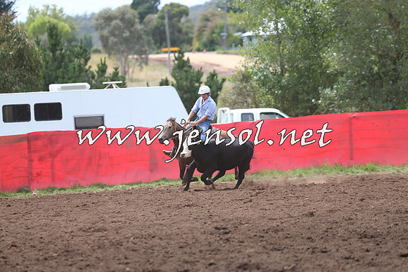 NimmitabelCampdraft2015_1404