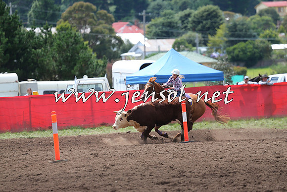 NimmitabelCampdraft2015_1375