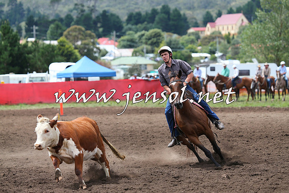 NimmitabelCampdraft2015_1441