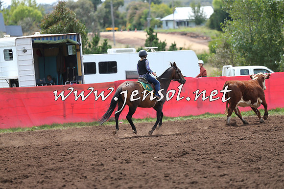 NimmitabelCampdraft2015_1379