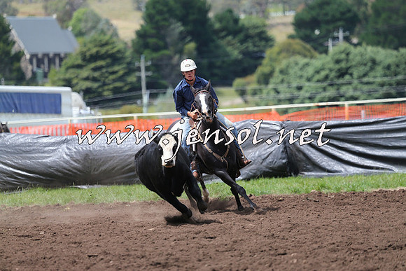 NimmitabelCampdraft2015_1483