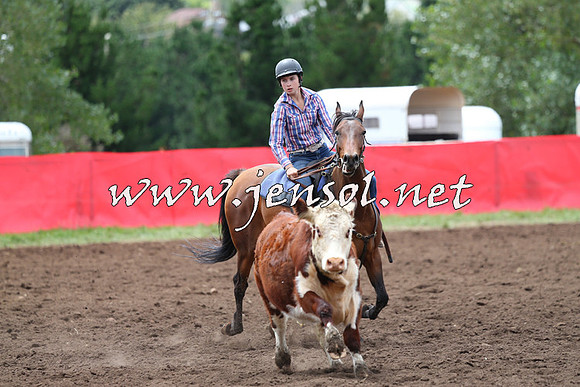 NimmitabelCampdraft2015_1409
