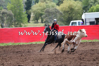 NimmitabelCampdraft2015_1347