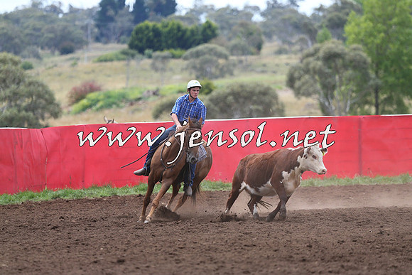 NimmitabelCampdraft2015_1422