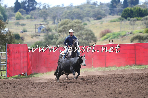 NimmitabelCampdraft2015_1478
