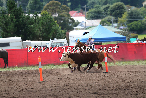 NimmitabelCampdraft2015_1374