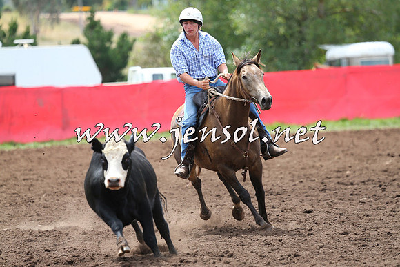 NimmitabelCampdraft2015_1398