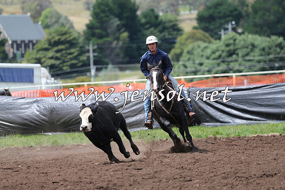NimmitabelCampdraft2015_1481
