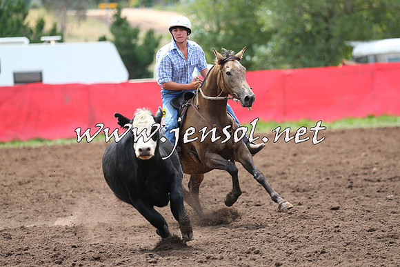 NimmitabelCampdraft2015_1399