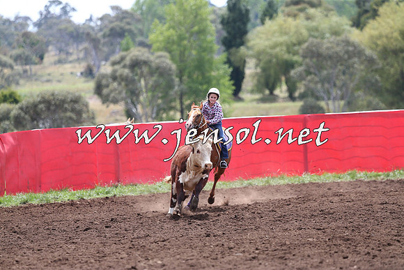 NimmitabelCampdraft2015_1360