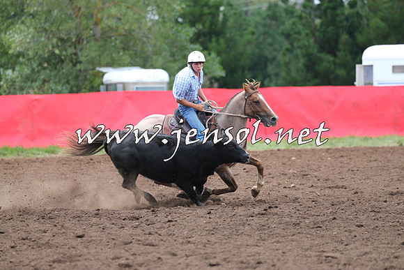 NimmitabelCampdraft2015_1434