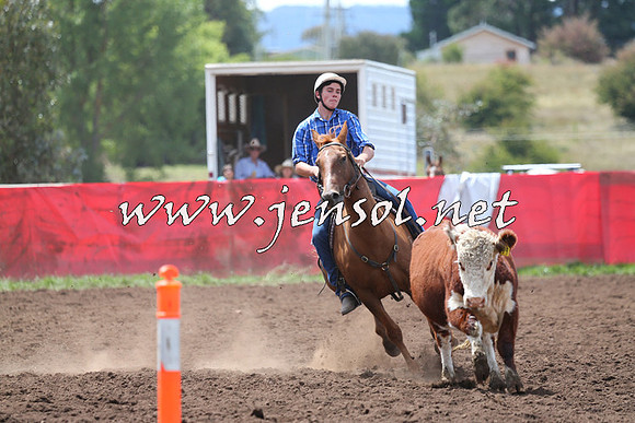 NimmitabelCampdraft2015_1470