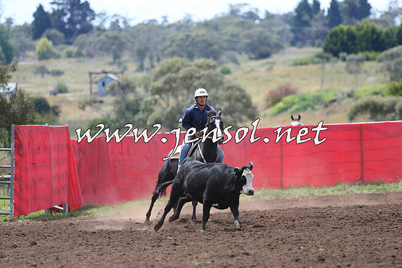 NimmitabelCampdraft2015_1476