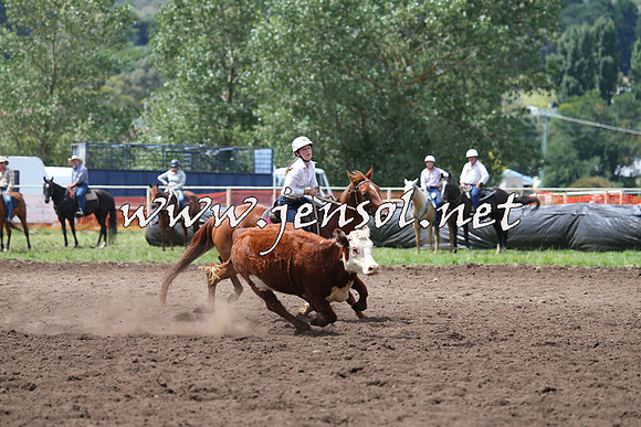NimmitabelCampdraft2015_1472