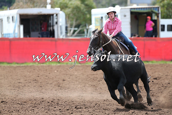 NimmitabelCampdraft2015_1465
