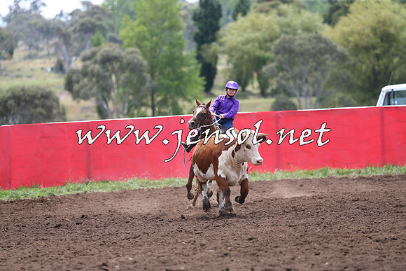 NimmitabelCampdraft2015_1381