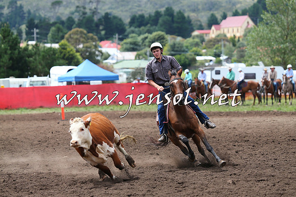 NimmitabelCampdraft2015_1442