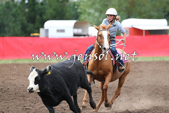 NimmitabelCampdraft2015_1419