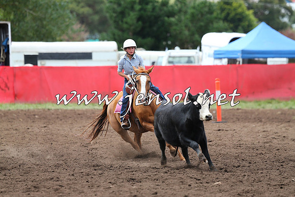NimmitabelCampdraft2015_1412