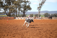 IllaboSat_0501