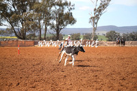 IllaboSat_0502
