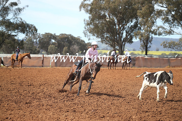 IllaboSat_0606