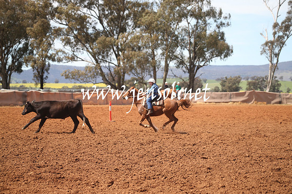 IllaboSat_0517