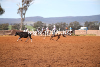 IllaboSat_0504