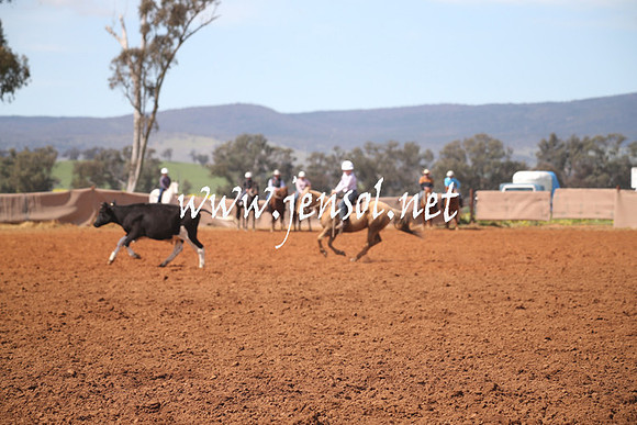 IllaboSat_0504