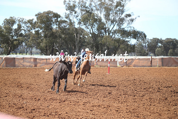 IllaboSat_0520