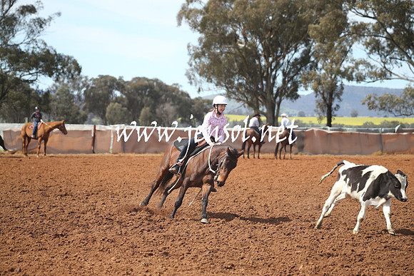 IllaboSat_0607