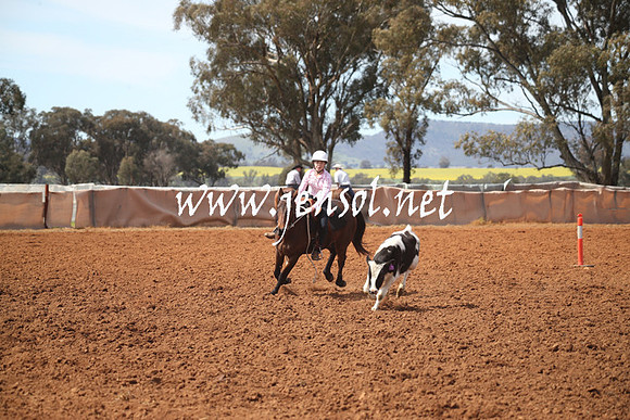 IllaboSat_0603