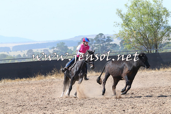 BraidwoodCampdraft2014_0610