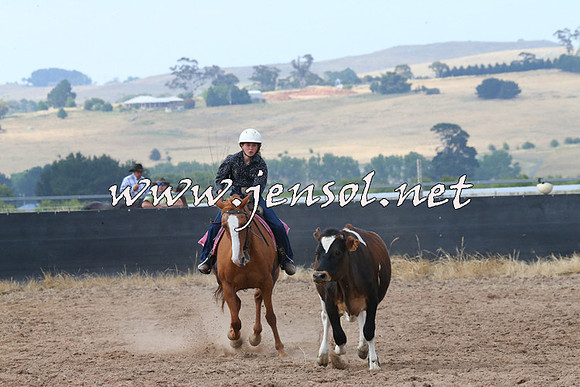 BraidwoodCampdraft2014_0508