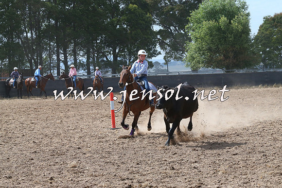 BraidwoodCampdraft2014_0531